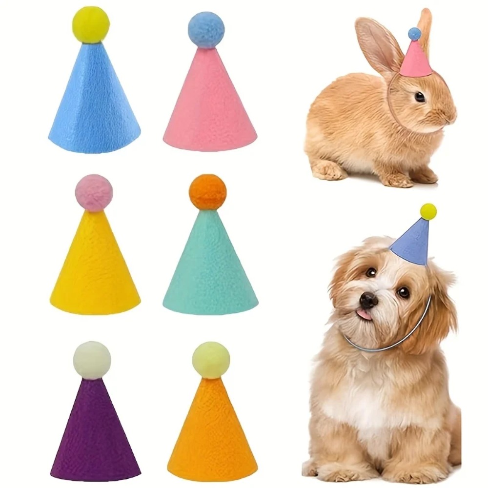 6 قطع من قبعات الحفلات الصغيرة - مراجعة Party Hat Cone وسعره